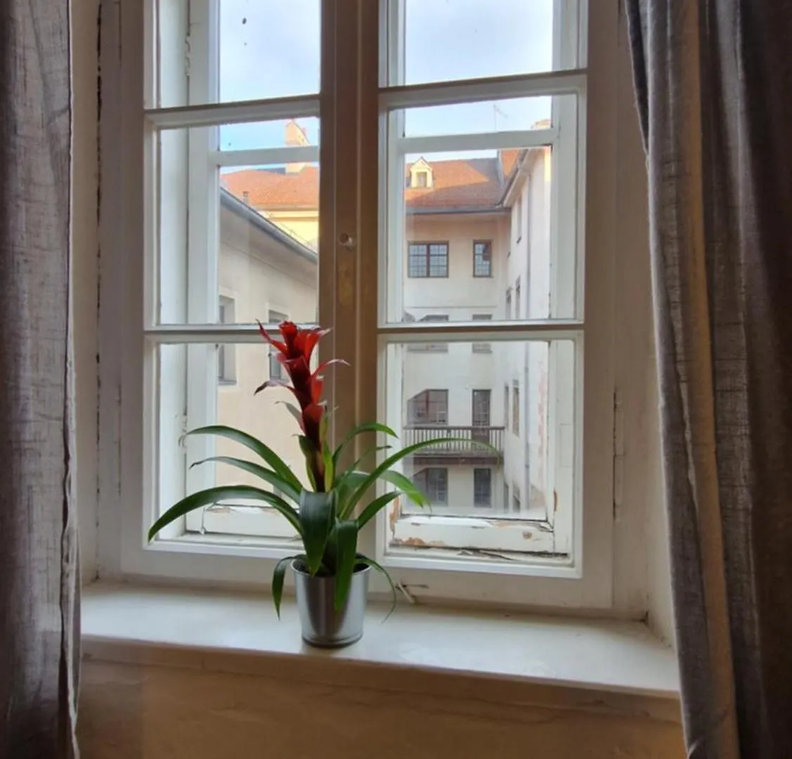 Innsbruck Historical City Appartement Goldenes Dachl